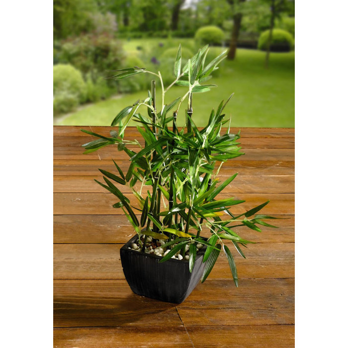 Primrue 18'' Faux Bamboo Plant in Pot & Reviews Wayfair